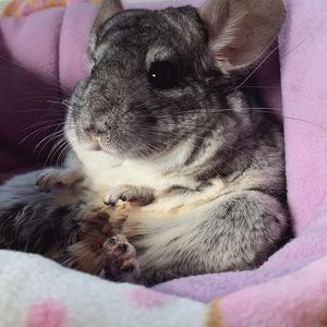 Meet your Posher, Tina